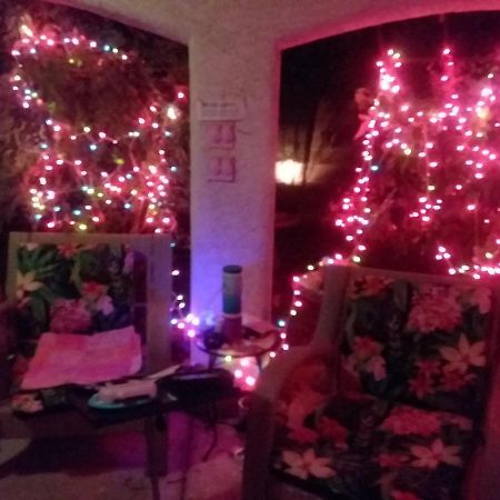 Catmosphere Las Vegas Ngoại thất bức ảnh
