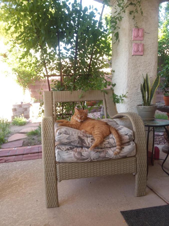 Catmosphere Las Vegas Ngoại thất bức ảnh